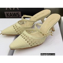 Dior Heel 6.5cm Mesh Cannage Embroidery Capture Mules Creamy 2022