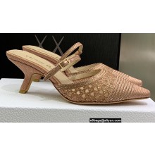 Dior Heel 6.5cm Cotton Embroidery with Thread and Strass Capture Mules Nude Pink 2022