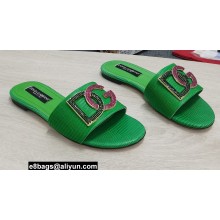 Dolce & Gabbana Iguana-print calfskin Slides with DG Logo Green 2022