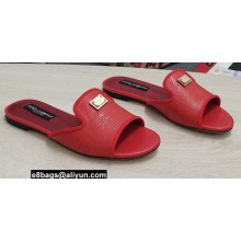 Dolce & Gabbana Iguana-print calfskin Slides Red 2022