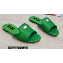 Dolce & Gabbana Iguana-print calfskin Slides Green 2022