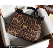 Dolce & Gabbana Medium Sicily bag in Leopard-print