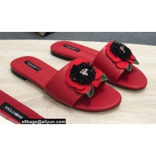 Dolce & Gabbana Black Red Roses Slides Red 2022