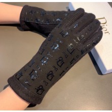 Dior Gloves D06 2022
