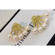 Dior Earrings 101 2022