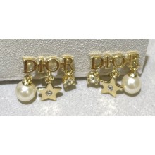 Dior Earrings 106 2022