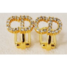 Dior Earrings 109 2022
