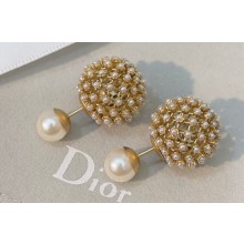 Dior Earrings 113 2022