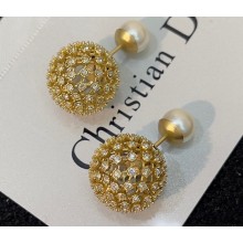 Dior Earrings 114 2022