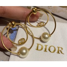 Dior Earrings 117 2022