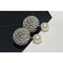 Dior Earrings 09 2023