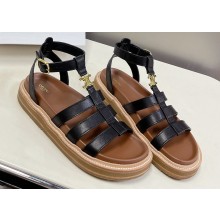 Celine TRIOMPHE Sandals In Calfskin Black 2023