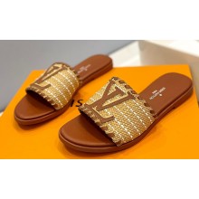 Louis Vuitton Raffia Flat Mules Brown 2023