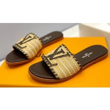 Louis Vuitton Raffia Flat Mules Coffee 2023
