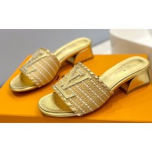 Louis Vuitton Heel 4cm Raffia Mules Gold 2023