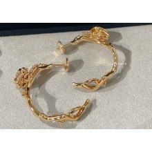 Dior Earrings 14 2023