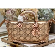 Dior Medium Lady D-Joy Bag in Iridescent and Cannage Lambskin
