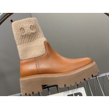 Celine Short Boots WITH TRIOMPHE In Knit and Calfskin Brown 2023