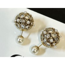 Dior Earrings 27 2023