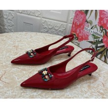 Dolce & Gabbana Heel 2.5cm patent  leather with Crystal red 1028-2024