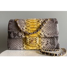 Chanel Python Medium Classic Handbag 1112 02 2023