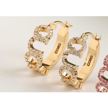 Gucci Earrings 01 2024