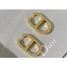 Dior Earrings 02 2024