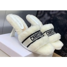 Dior Heel 8cm Dway Slide Sandals in White Shearling Fur and Embroidered Canvas 2024