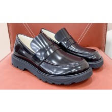 Loewe Blaze derby in bicolour brushed-off calfskin Mink/Black 2024