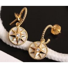 Dior Earrings 54 2019