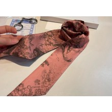 Dior Mitzah Scarf 6x105cm 240221 09 2024