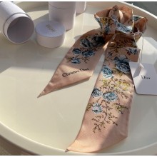 Dior Mitzah Scarf 6x100cm 240221 03 2024