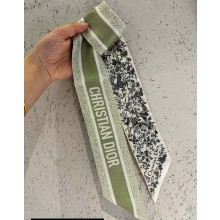 Dior Mitzah Scarf 6x105cm 240221 25 2024
