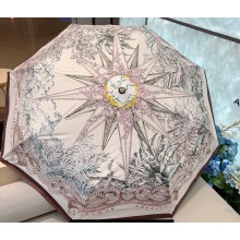 Dior Umbrella 08 2024