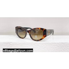 Chanel Acetate Oval Sunglasses A71618 CH5524 01 2024