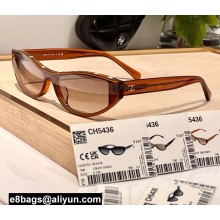 Chanel Acetate Square Sunglasses CH5436 03 2024