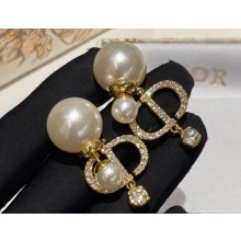 Dior Earrings 09 2024