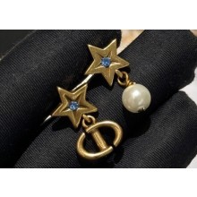 Dior Earrings 11 2024
