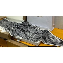 Dior Plan de Paris Dior Diamond Black and White Silk Twill 35x110cm 2024