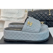 Chanel Pearl and Crystal Gold CC Logo Platform Mules Quilting Leather Gray 2024