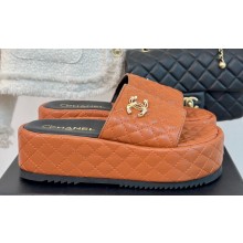 Chanel Pearl and Crystal Gold CC Logo Platform Mules Quilting Leather Brown 2024
