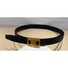 Celine Width 2.5cm Medium Reversible Framed Triomphe Belt In Taurillon And Natural Calfskin Black/Gold