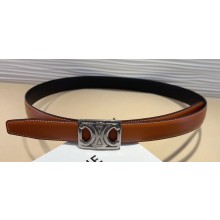 Celine Width 2.5cm Medium Reversible Framed Triomphe Belt In Taurillon And Natural Calfskin Camel/Silver