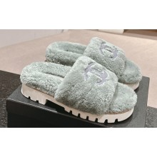 Chanel Resin CC Logo Shearling Platform Mules Gray Green 2024