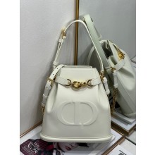 dior white Saddle CD-Embossed Calfskin Medium C'est Bag 2023