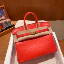 Hermes birkin 25 bag in ostrich leather Rouge Tomate handmade