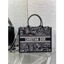 Dior Medium Book Tote bag in Black and White Plan de Paris Embroidery 2024