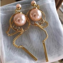 Dior Earrings 40 2019