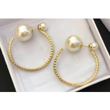 Dior Earrings 131 2019