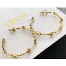 Dior Earrings 133 2019